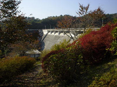 秋の飯田ダム
